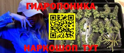 ешки Славянск-на-Кубани
