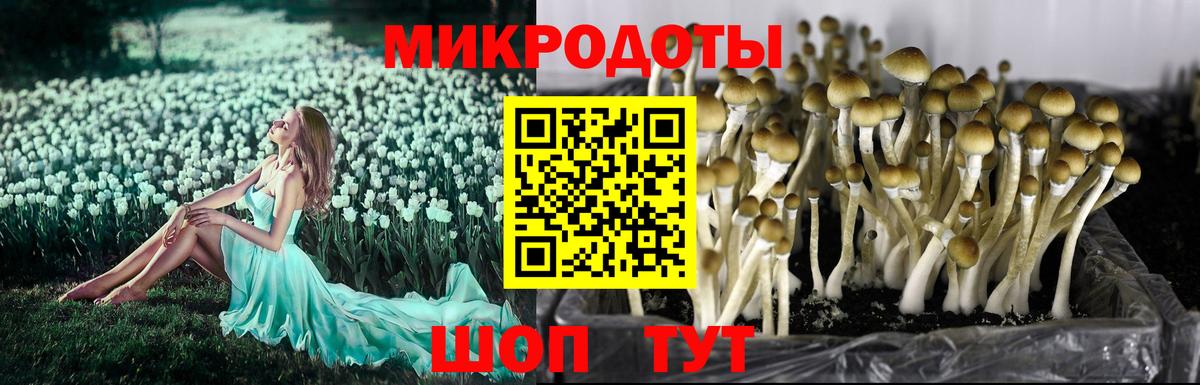 Ревда  Псилоцибиновые грибы ЛСД  Вход с VPN 